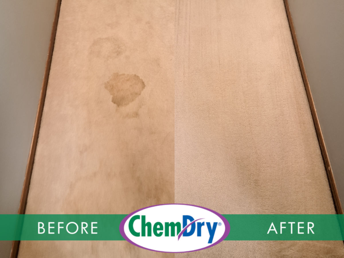 Pet Urine Removal carpet-cleaning-hallway.jpg (1)