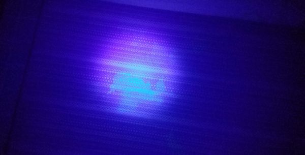 black-light-of-pet-urine.jpg