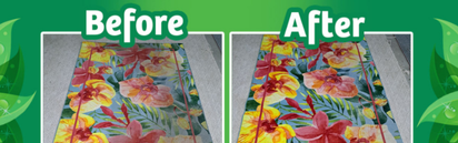 Carpet Cleaning by Chem-Dry Carpet Cleaning by Chem-Dry