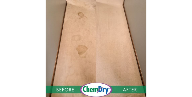 Excellent Carpet Cleaning.png