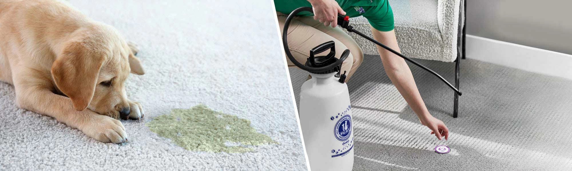 Client texting for a cleaning estimate in Fort Wayne.